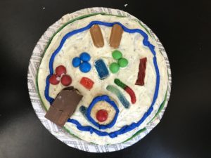 cell model made of candy