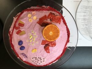 cake cell model
