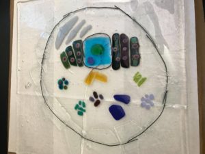 stained glass cell model
