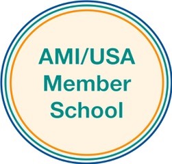 ami/usa logo